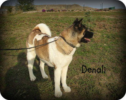 Denali