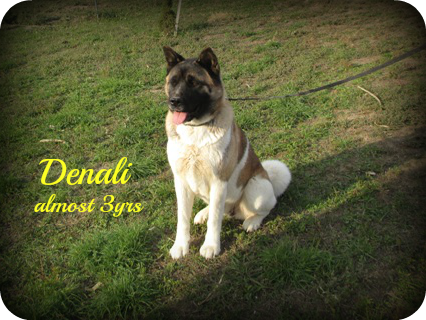 Denali