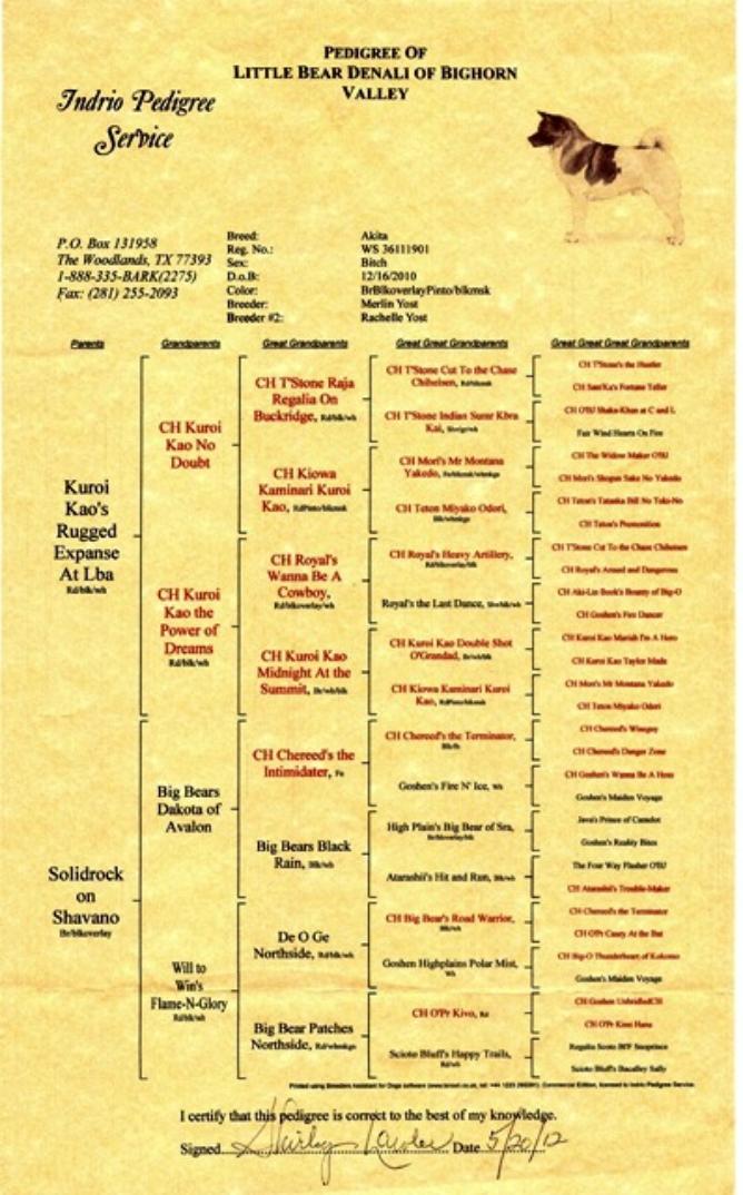 Denali's pedigree